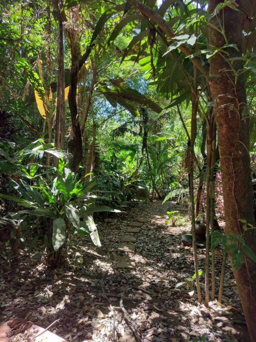 Eco Villas Tambor Tucanes Luaran gambar
