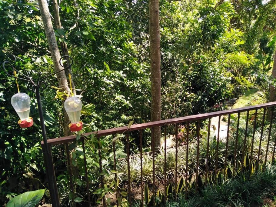 Eco Villas Tambor Tucanes Luaran gambar
