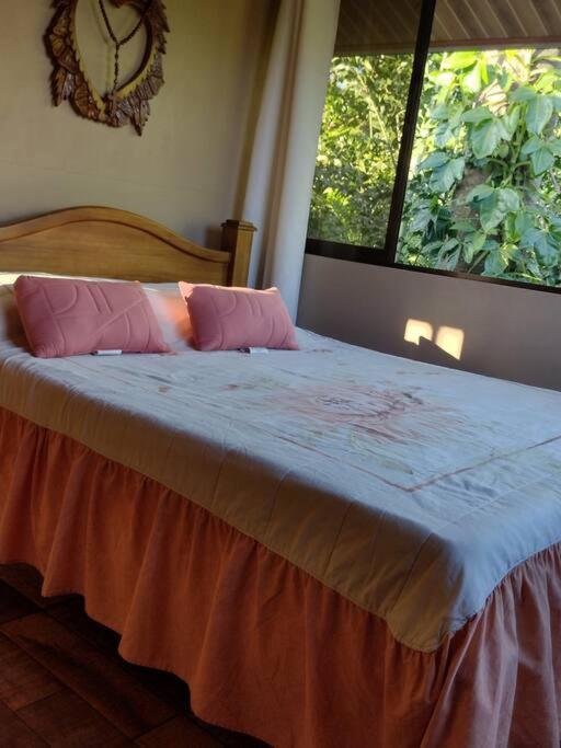 Eco Villas Tambor Tucanes Luaran gambar
