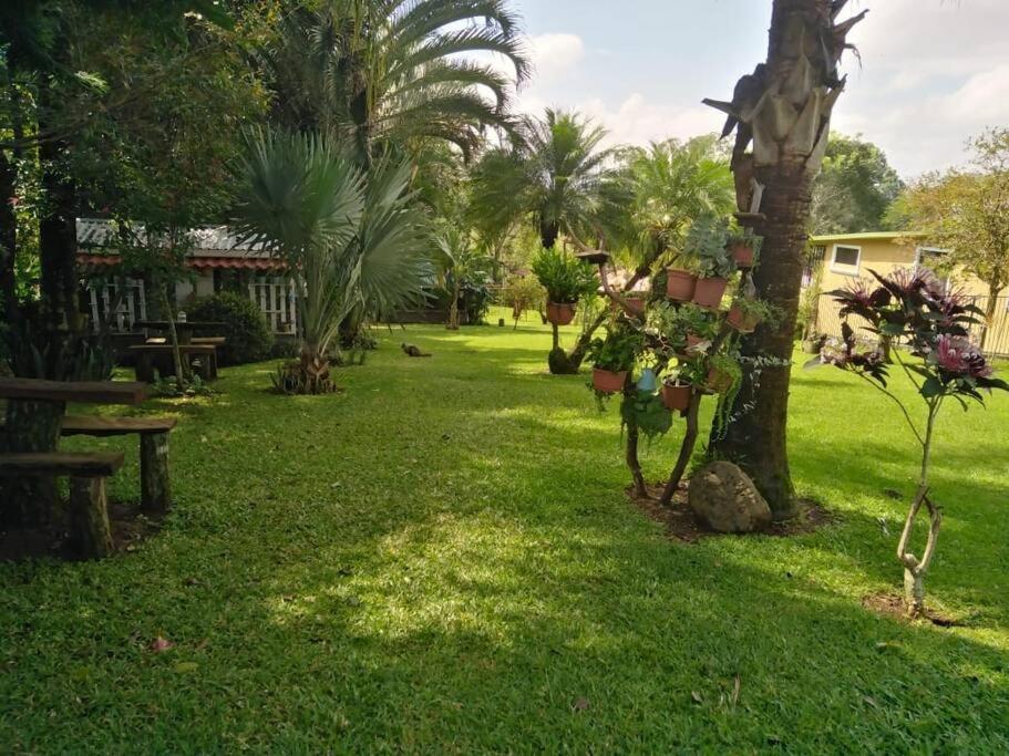 Eco Villas Tambor Tucanes Luaran gambar