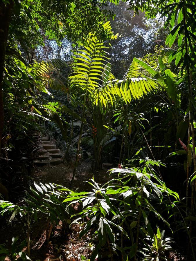 Eco Villas Tambor Tucanes Luaran gambar