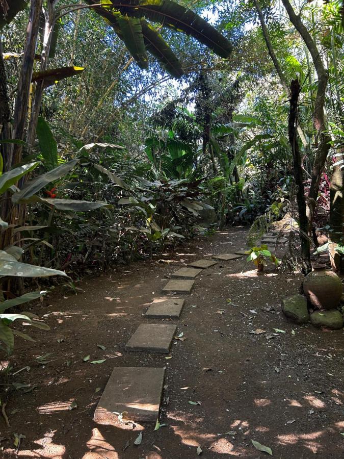 Eco Villas Tambor Tucanes Luaran gambar