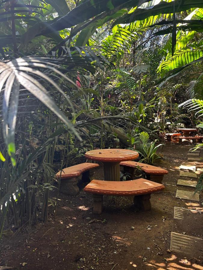 Eco Villas Tambor Tucanes Luaran gambar