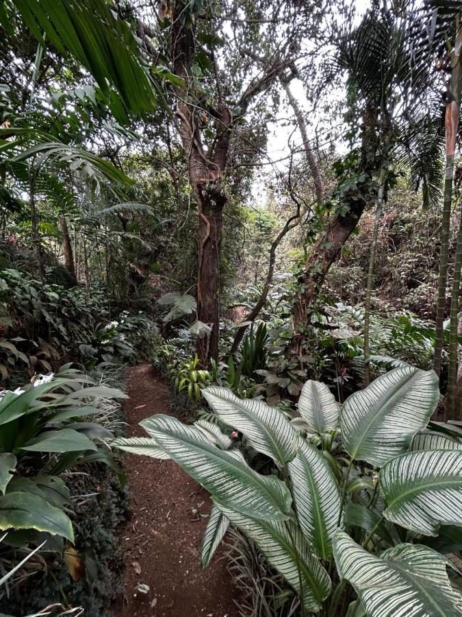 Eco Villas Tambor Tucanes Luaran gambar
