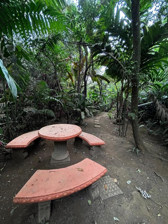 Eco Villas Tambor Tucanes Luaran gambar