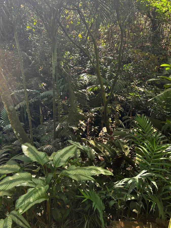 Eco Villas Tambor Tucanes Luaran gambar