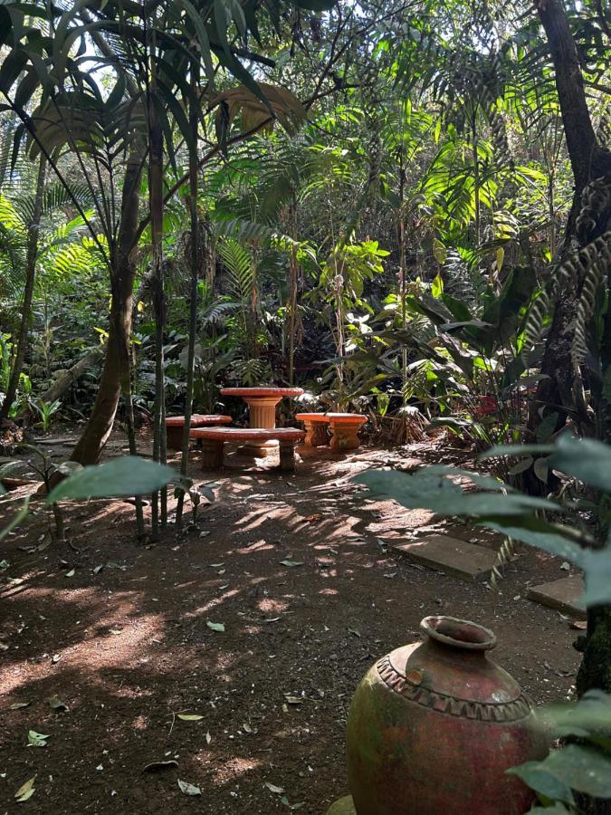 Eco Villas Tambor Tucanes Luaran gambar