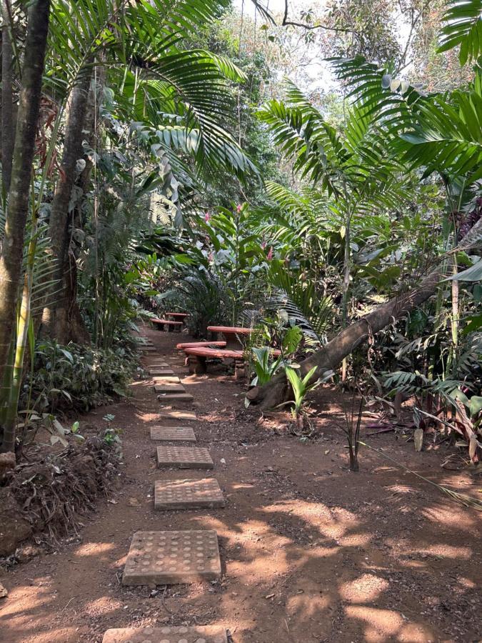 Eco Villas Tambor Tucanes Luaran gambar
