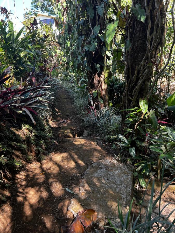 Eco Villas Tambor Tucanes Luaran gambar