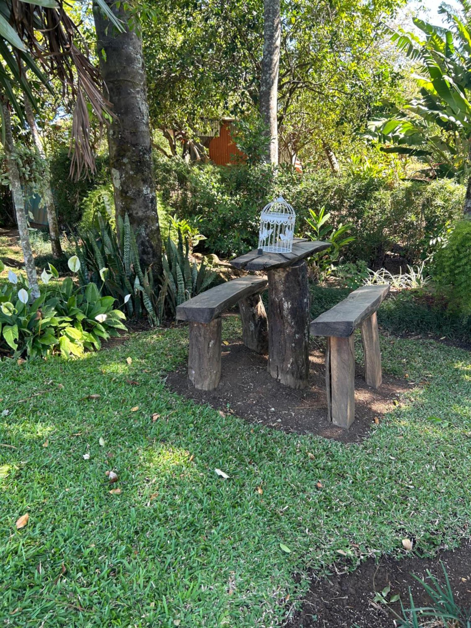 Eco Villas Tambor Tucanes Luaran gambar