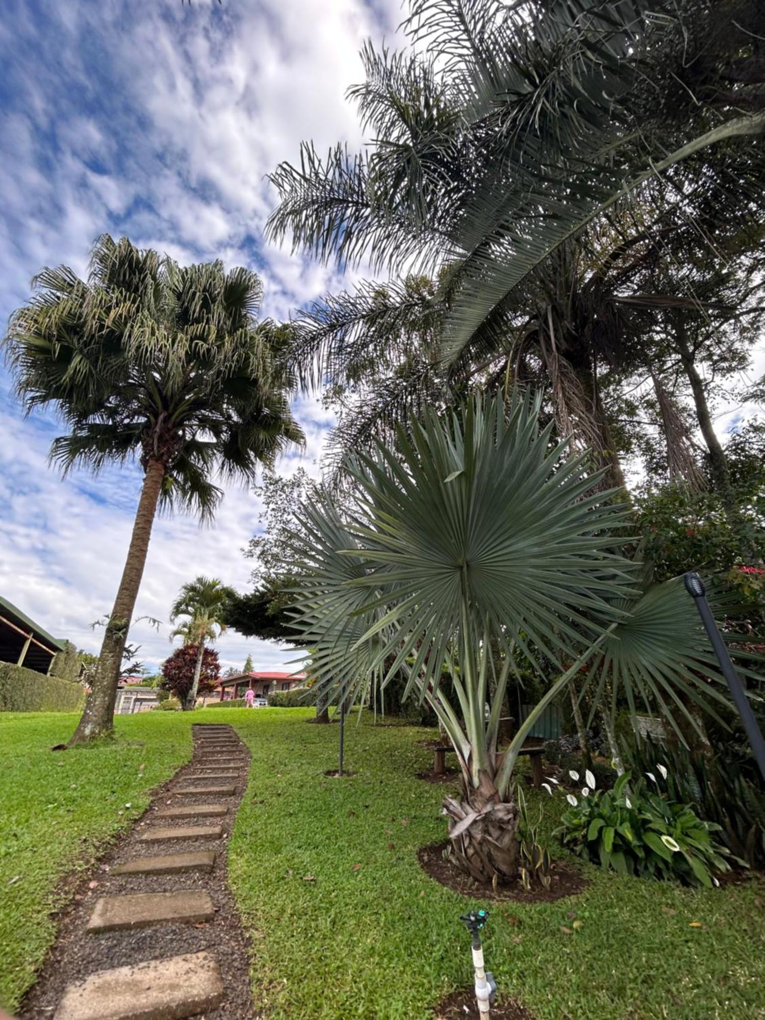 Eco Villas Tambor Tucanes Luaran gambar