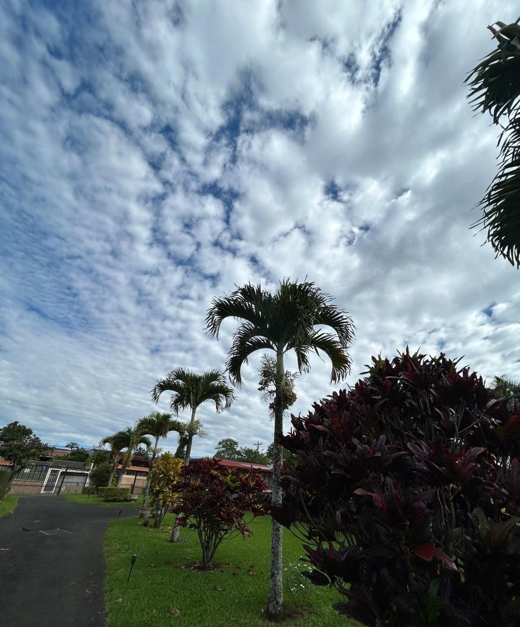 Eco Villas Tambor Tucanes Luaran gambar